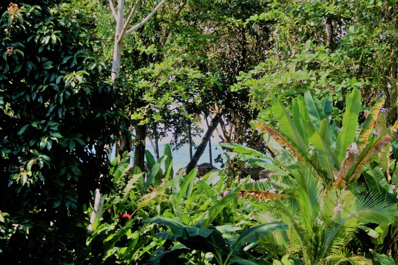 Hotel Casa Natural Puerto Viejo Puerto Viejo de Talamanca Esterno foto